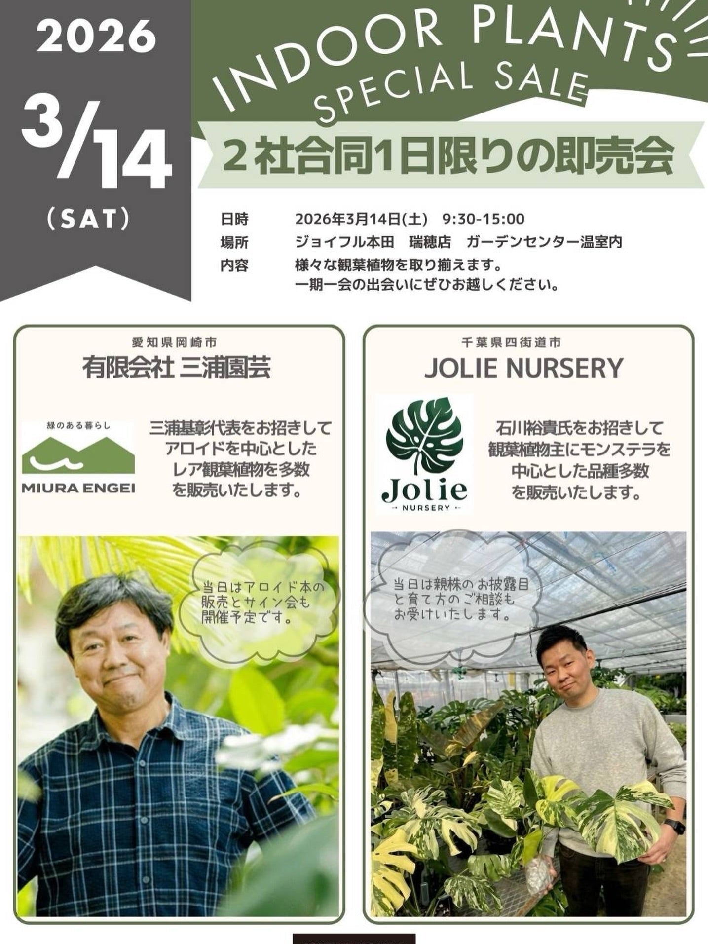 🌿 Indoor Plants Special Sale 🌿 – JolieNursery