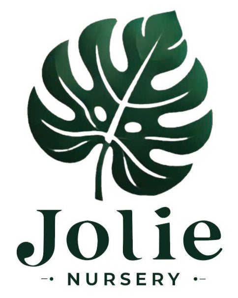 JolieNursery