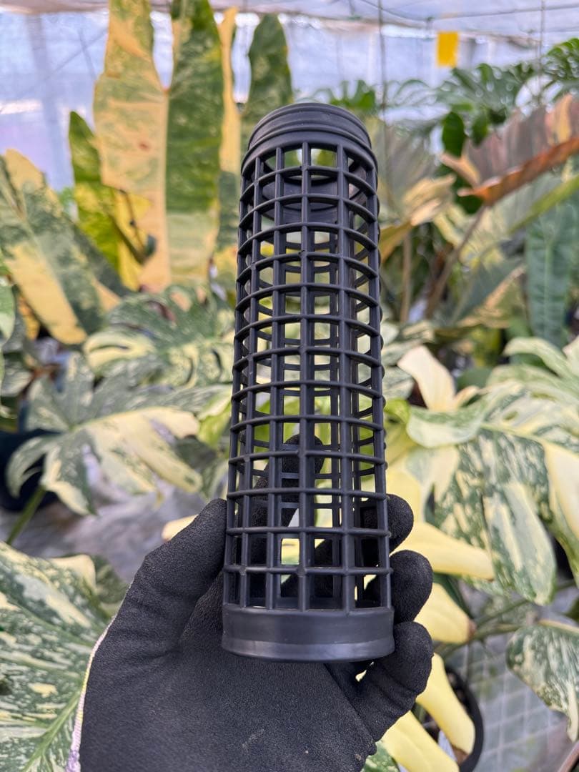 連結式モスポール 20cm／29cm 4本・8本セット｜観葉植物用 支柱 成長