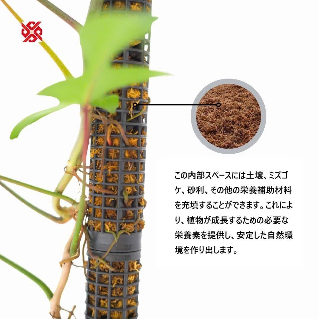 水苔ありモスポール 生産プロの秘訣 植物用上り棒【白/黒・4本/10本