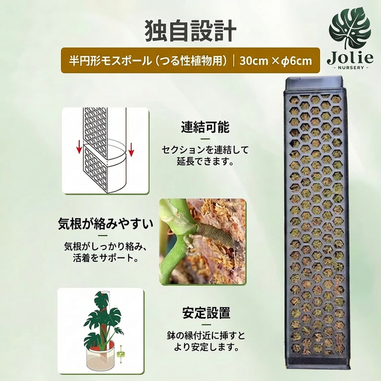 Jolie 半月型モスポール 連結式モンステラ支柱 成長促進