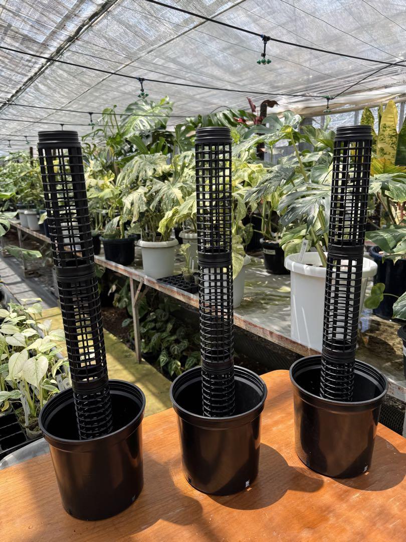 鉢付きモスポールセット連結可能 つる性 観葉植物 支柱