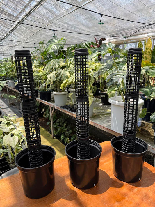 鉢付きモスポールセット｜連結可能 観葉植物用 支柱【選べるセット】5.5号鉢・20cmモスポール