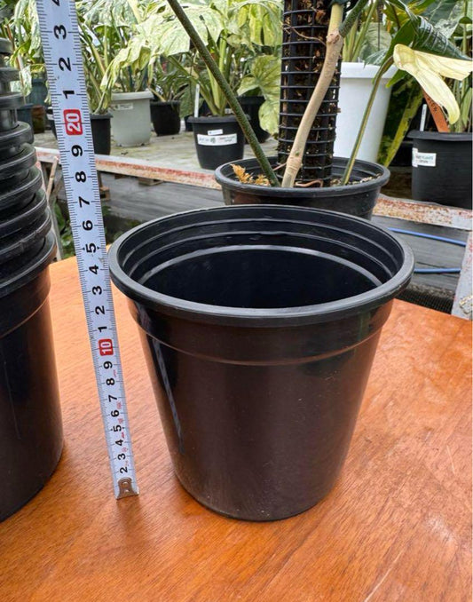 15cmサイズ　黒鉢　10個まとめ　29cmサイズモスポール専用鉢　鉢のみ