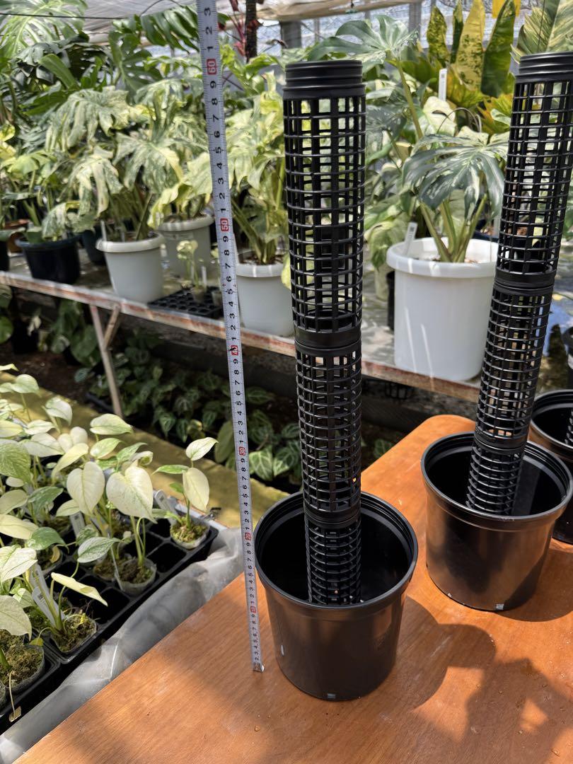 鉢付きモスポールセット連結可能 つる性 観葉植物 支柱 5.5号鉢・20cm