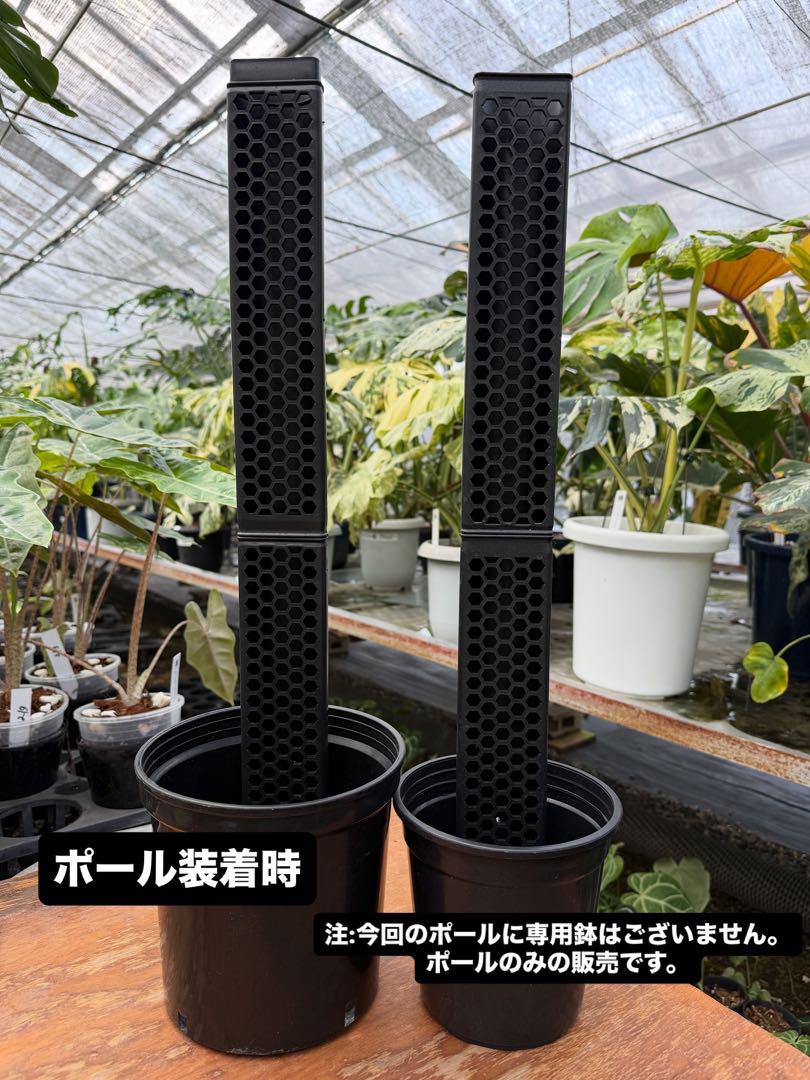 半月型モスポール　連結可能式30㎝