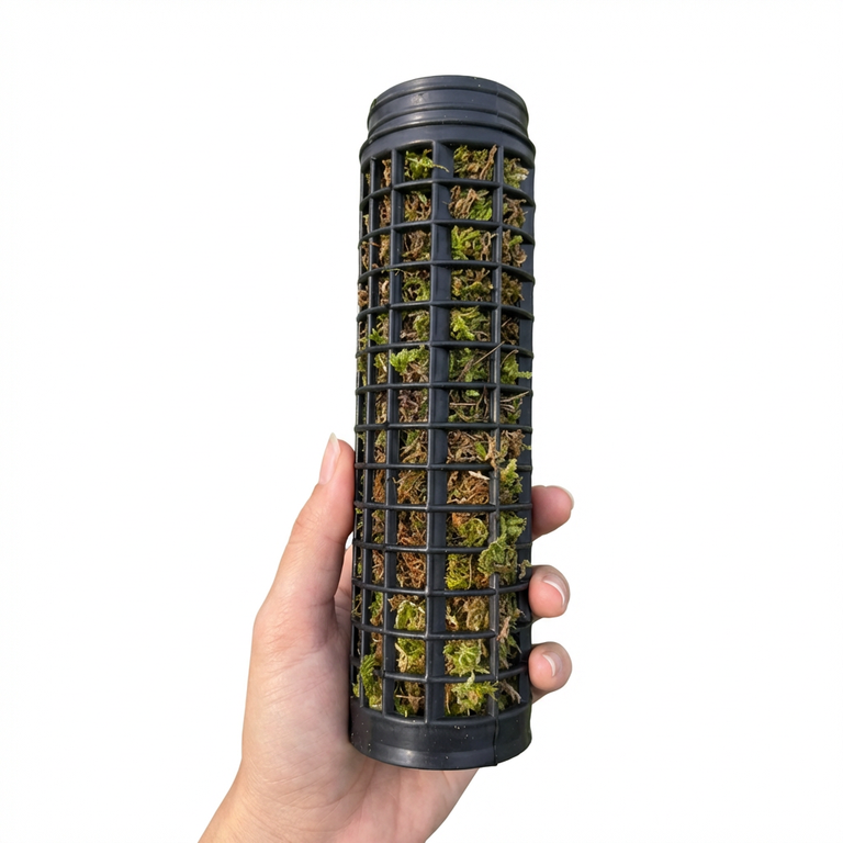 Jolie 水苔付き円柱型モスポール モンステラ支柱 生産プロの秘訣 植物用上り棒 4本セット